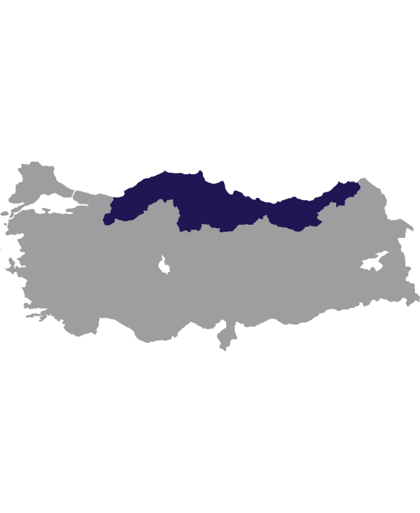 Landkaart Turkije grijs met de Zwarte Zeeregio donkerblauw op transparante achtergrond - 600 * 733 pixels